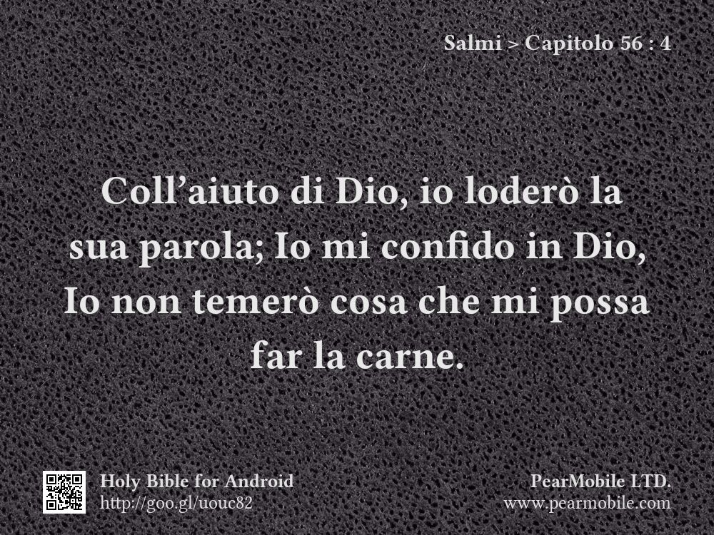 Salmi, Capitolo 56:4